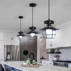 Pendant Light | Industrial Black Metal Cage | Adjustable Height