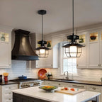 Pendant Light | Industrial Black Metal Cage | Adjustable Height