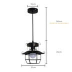 Pendant Light | Industrial Black Metal Cage | Adjustable Height