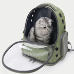 Pet Carrier Backpack | Transparent Window & All-Around Ventilation | For Cats & Small Dogs