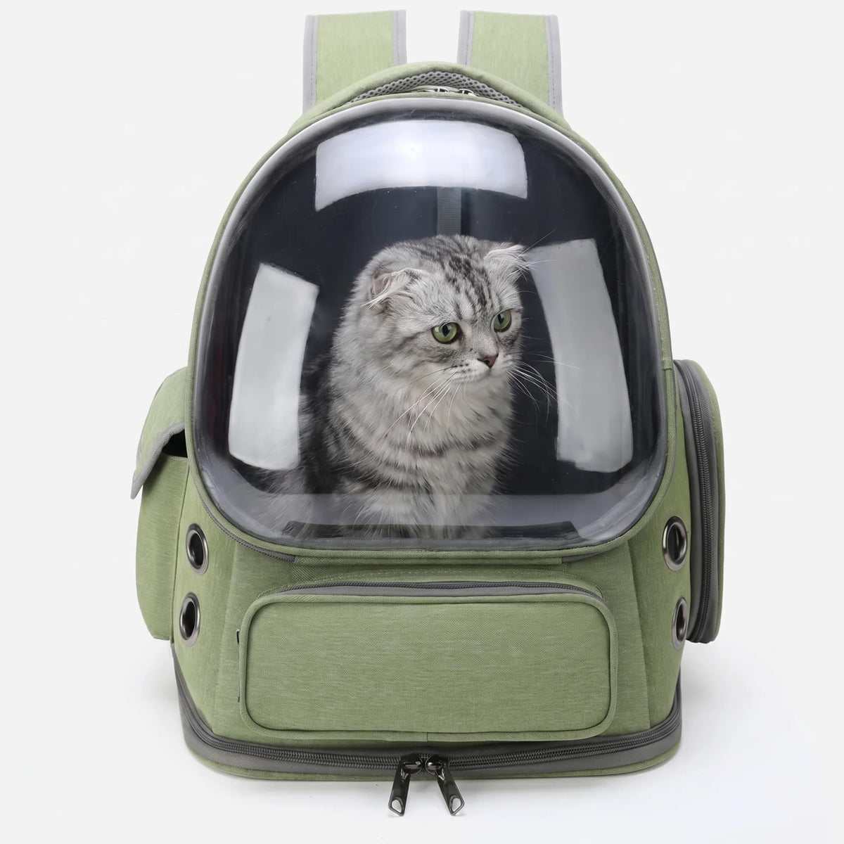 Pet Carrier Backpack | Transparent Window & All-Around Ventilation | For Cats & Small Dogs