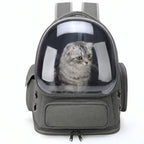 Pet Carrier Backpack | Transparent Window & All-Around Ventilation | For Cats & Small Dogs
