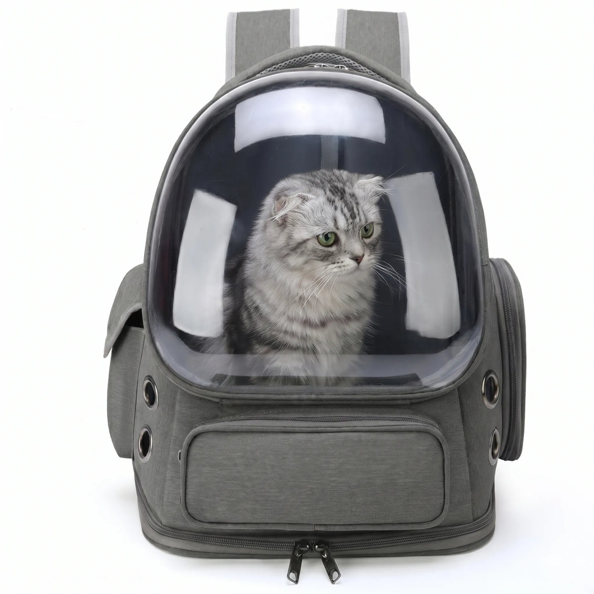Pet Carrier Backpack | Transparent Window & All-Around Ventilation | For Cats & Small Dogs