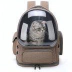 Pet Carrier Backpack | Transparent Window & All-Around Ventilation | For Cats & Small Dogs