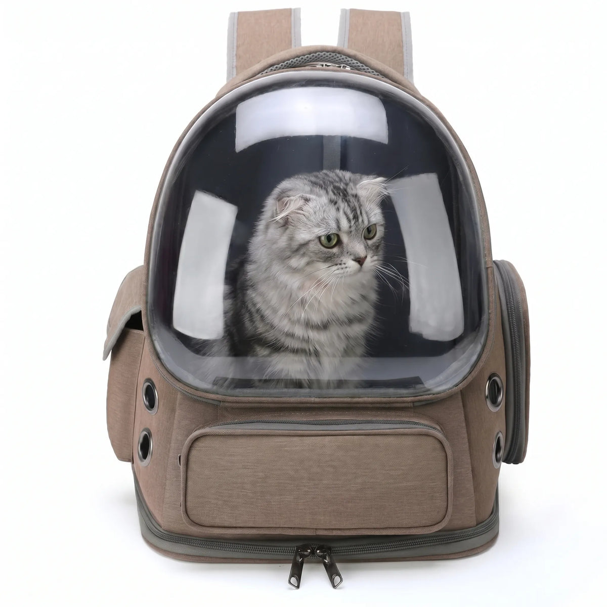 Pet Carrier Backpack | Transparent Window & All-Around Ventilation | For Cats & Small Dogs