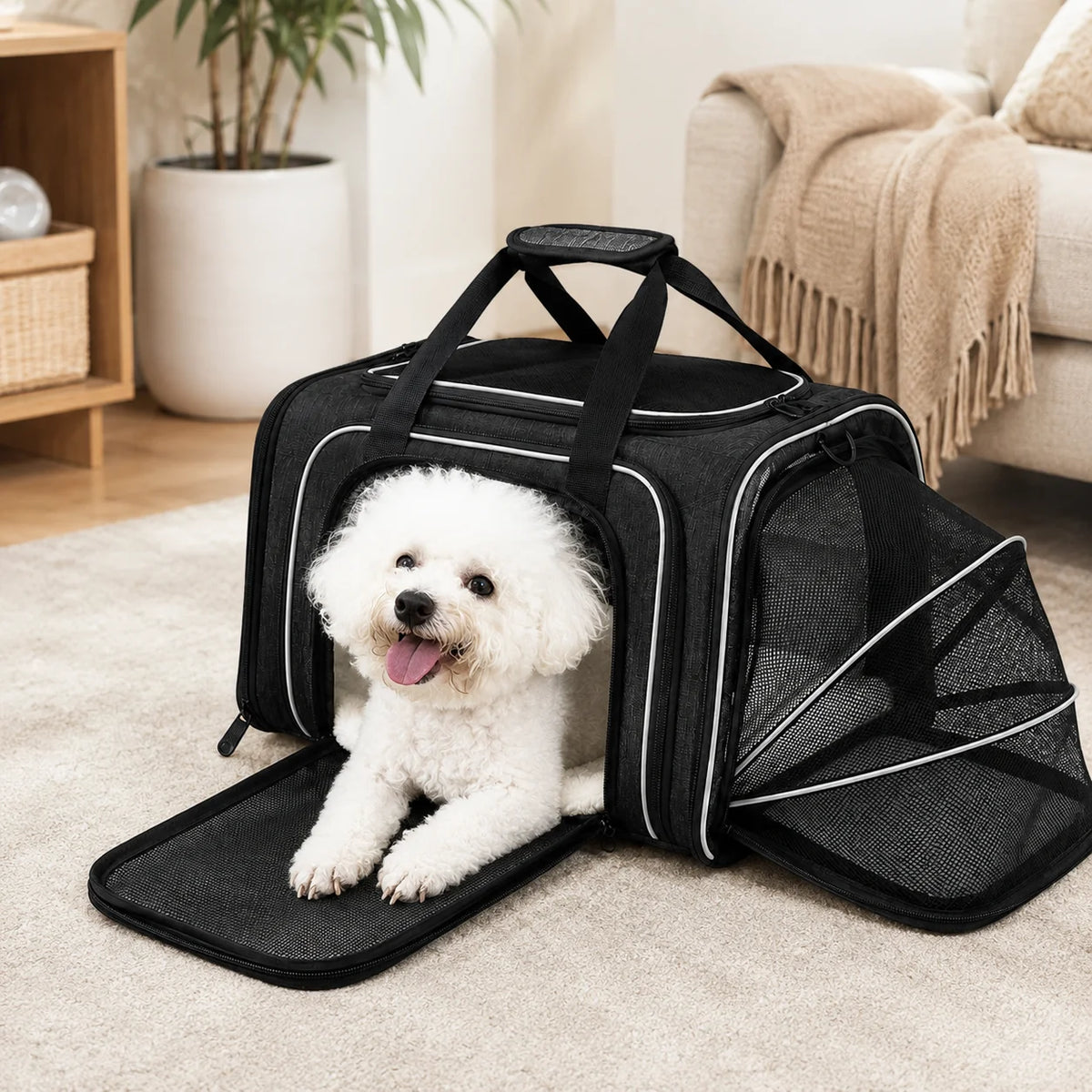 Pet Carrier | Expandable & Breathable Mesh | Small & Medium