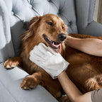 Pet Cleaning Gloves | No-Water Fragrance-Free & Reusable | Pack of 20
