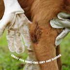 Pet Cleaning Gloves | No-Water Fragrance-Free & Reusable | Pack of 20