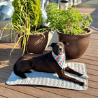 Pet Cooling Mat | Self-Cooling & Machine-Washable | Multiple Sizes