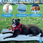 Pet Cooling Mat | Self-Cooling & Machine-Washable | Multiple Sizes