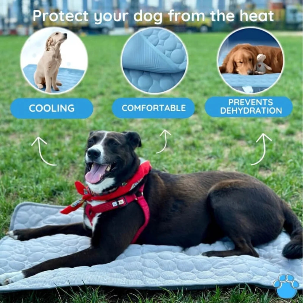 Pet Cooling Mat | Self-Cooling & Machine-Washable | Multiple Sizes