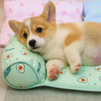 Pet Cooling Mat | Self-Cooling & No Electricity | For Dogs & Cats