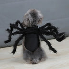 Pet Costume | Realistic Spider Legs & Adjustable Fit