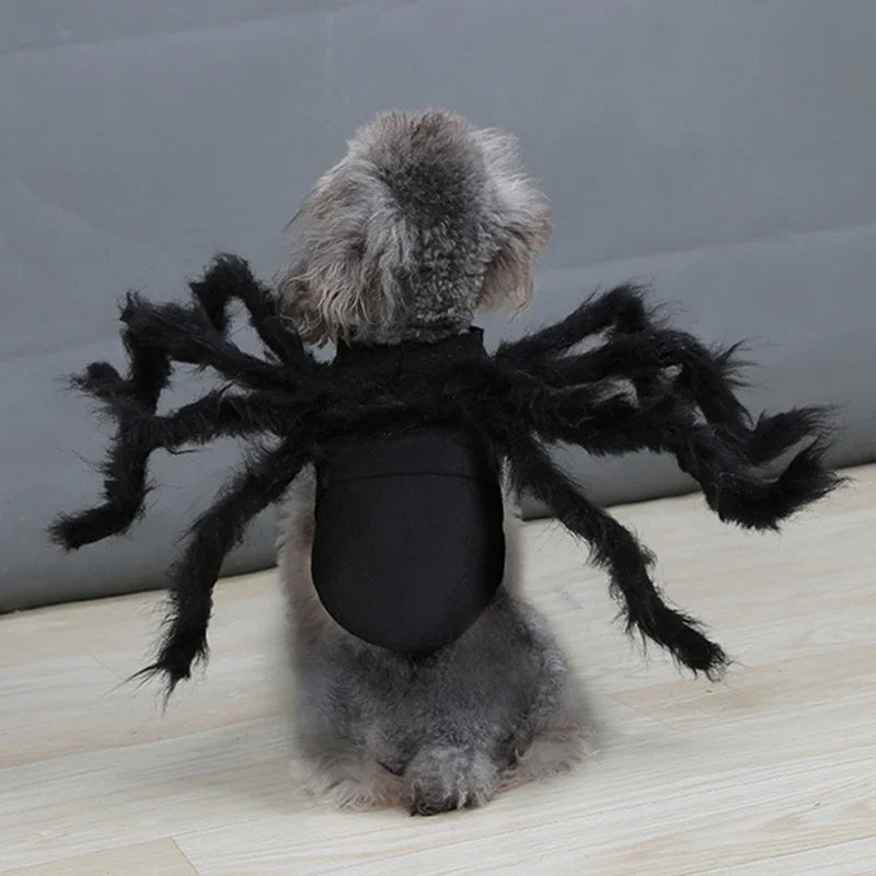 Pet Costume | Realistic Spider Legs & Adjustable Fit