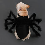 Pet Costume | Realistic Spider Legs & Adjustable Fit
