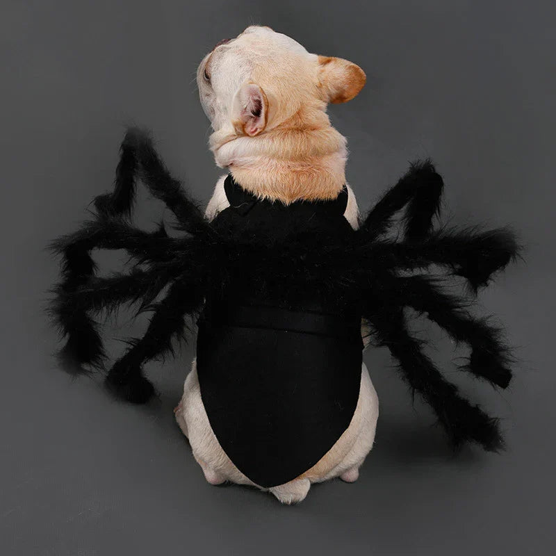 Pet Costume | Realistic Spider Legs & Adjustable Fit