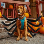 Pet Costume | Realistic Spider Legs & Adjustable Fit
