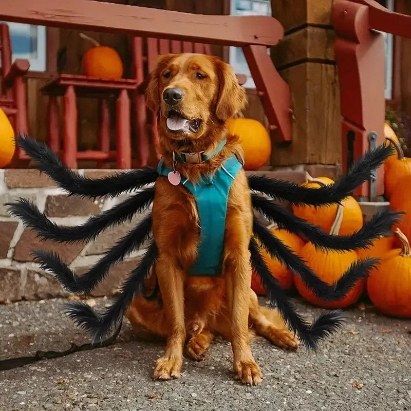 Pet Costume | Realistic Spider Legs & Adjustable Fit