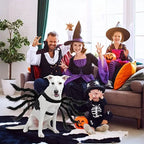 Pet Costume | Realistic Spider Legs & Adjustable Fit