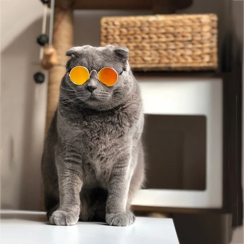 Pet Sunglasses | Round Retro Frame & Lightweight & Durable