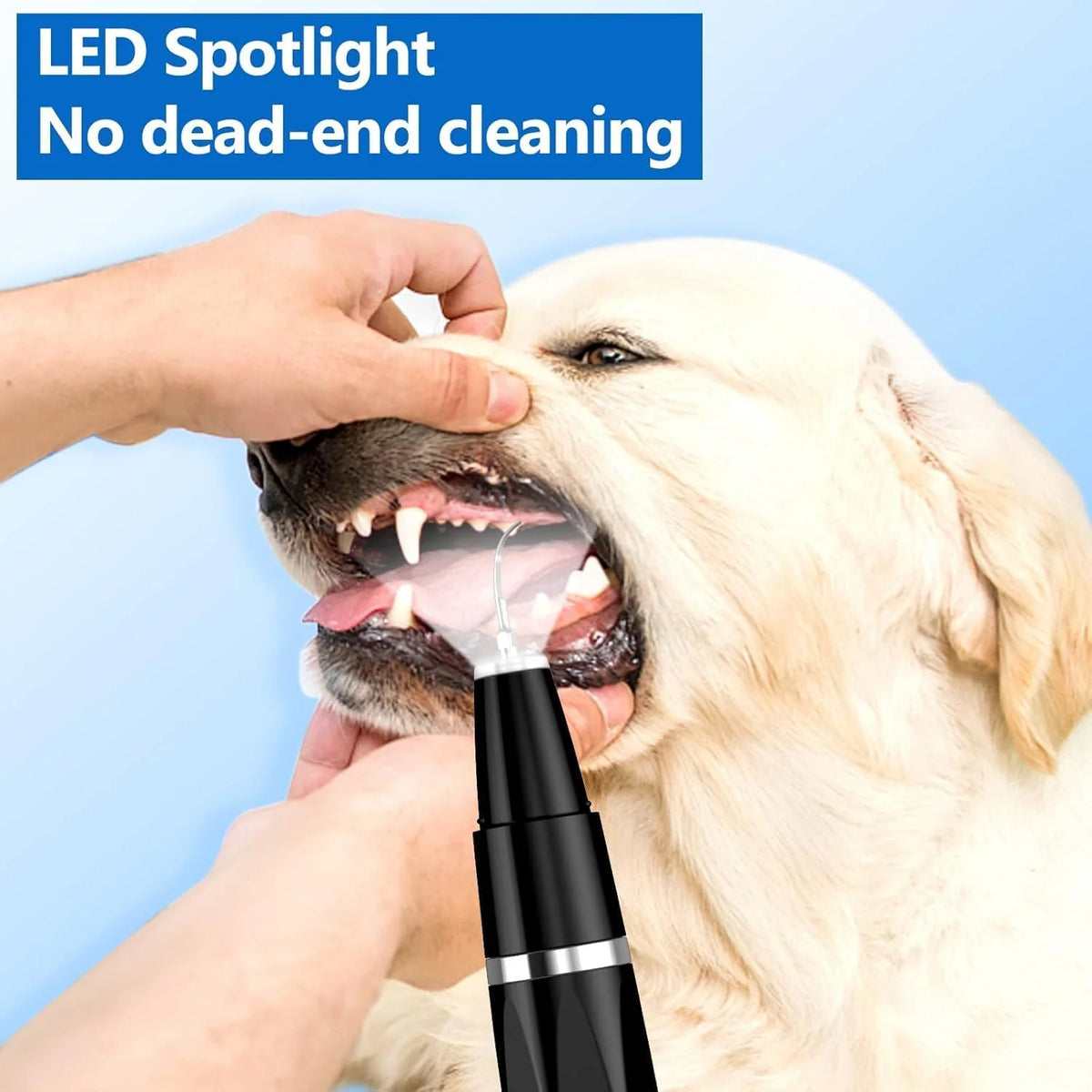 Pet Tartar Remover | Ultrasonic & Painless