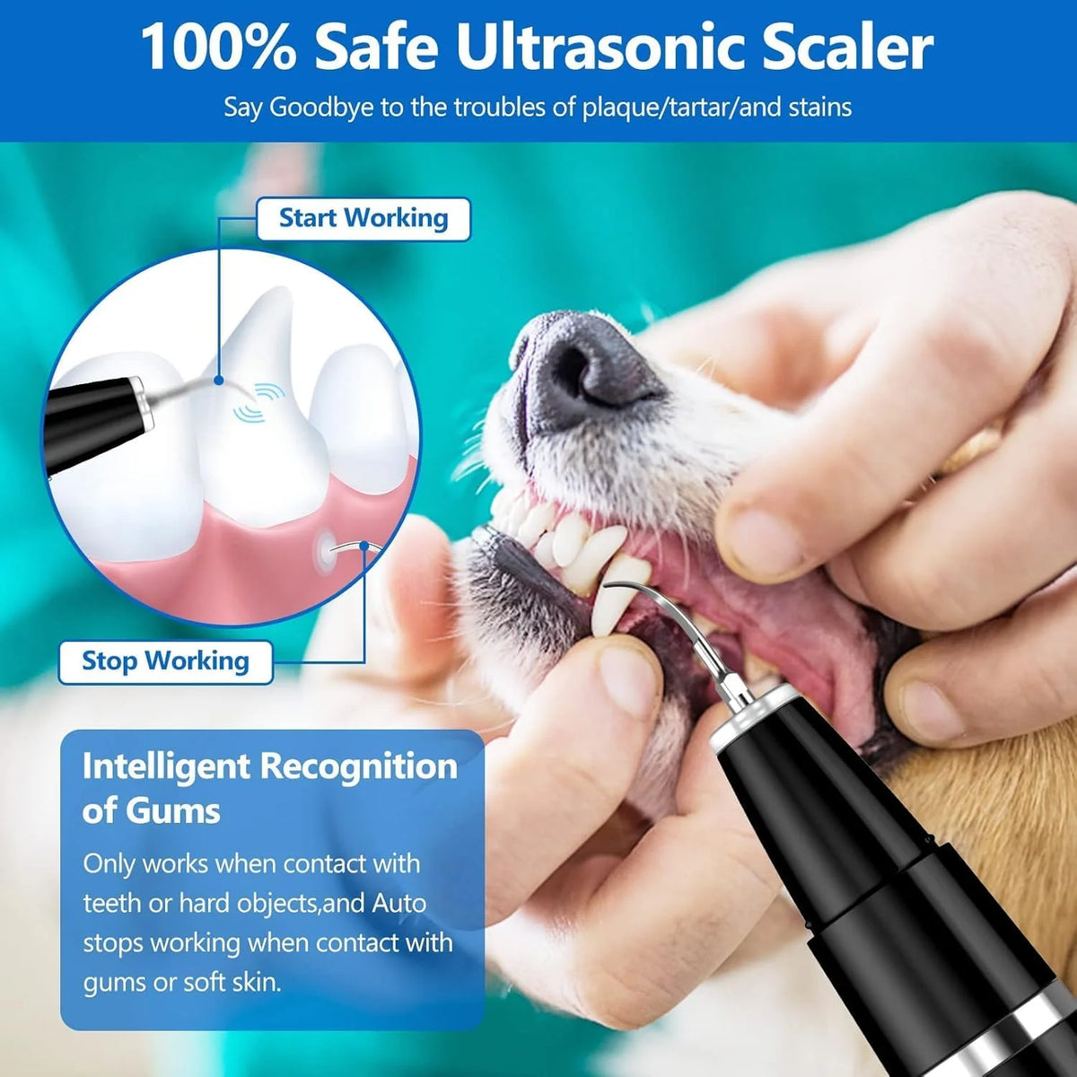 Pet Tartar Remover | Ultrasonic & Painless
