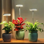 Indoor Plant Lamp | Full-Spectrum Grow Light | Timer & Dimming