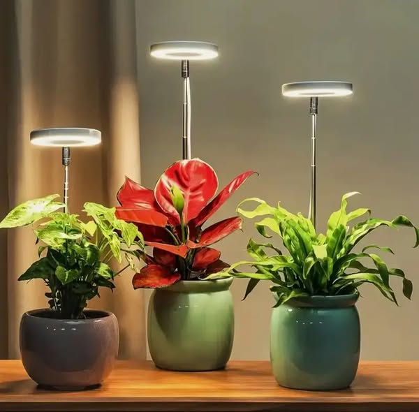 Indoor Plant Lamp | Full-Spectrum Grow Light | Timer & Dimming