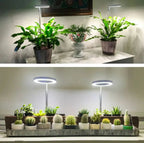 Indoor Plant Lamp | Full-Spectrum Grow Light | Timer & Dimming