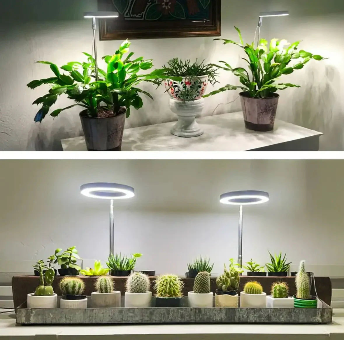 Indoor Plant Lamp | Full-Spectrum Grow Light | Timer & Dimming