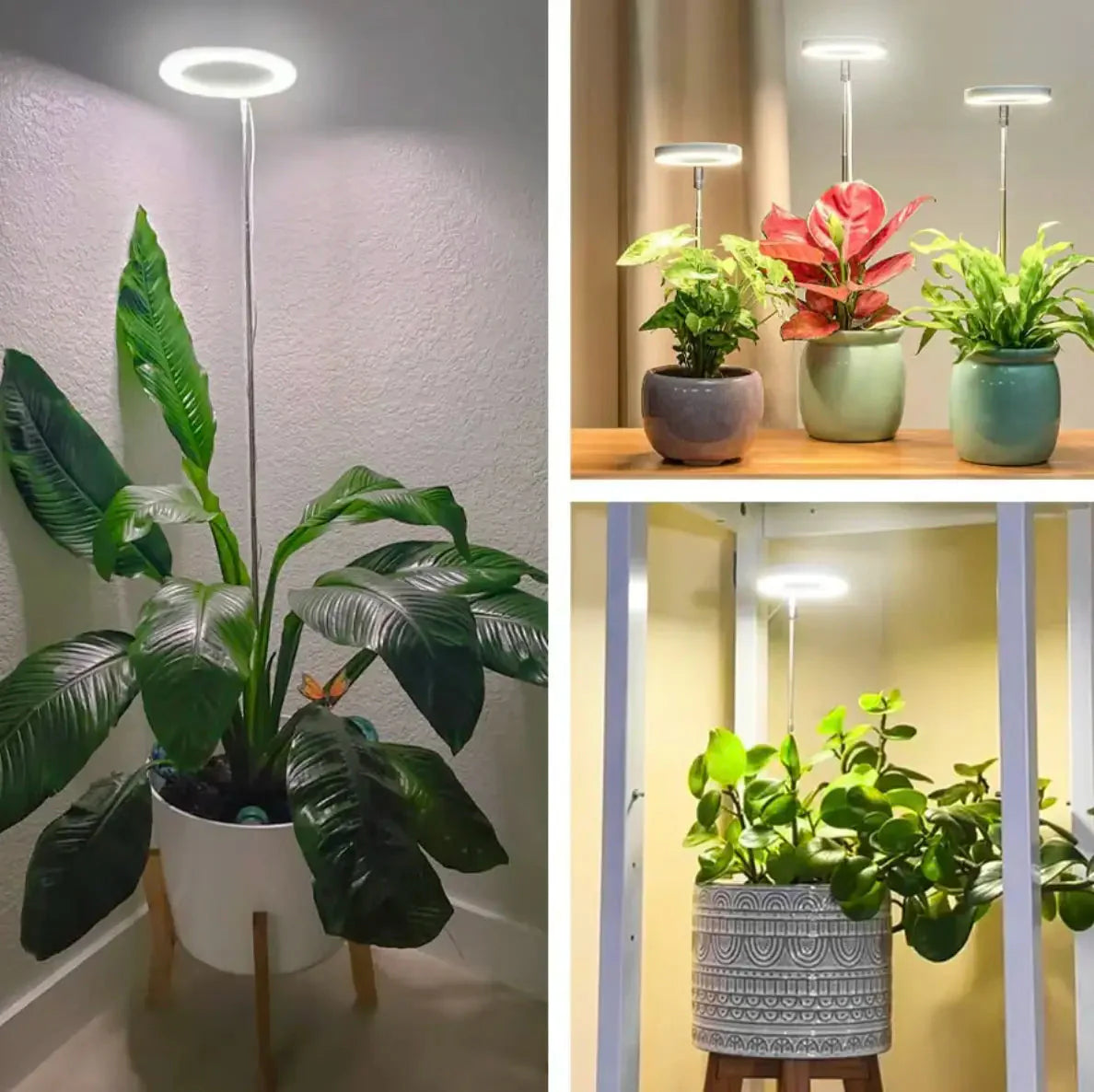 Indoor Plant Lamp | Full-Spectrum Grow Light | Timer & Dimming