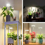 Indoor Plant Lamp | Full-Spectrum Grow Light | Timer & Dimming