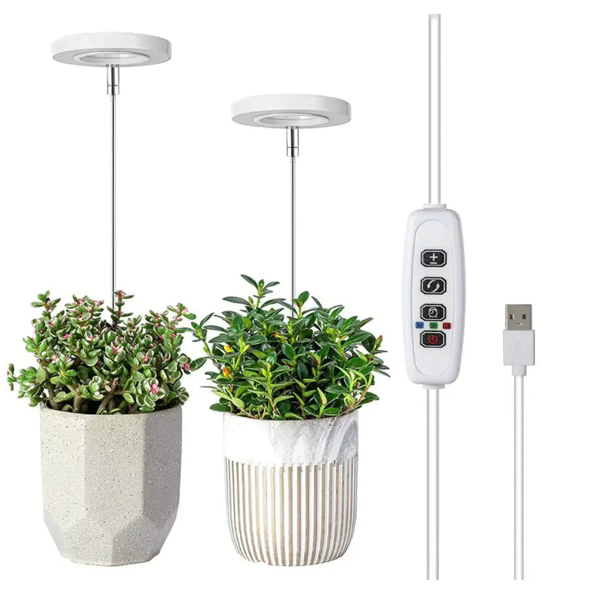 Indoor Plant Lamp | Full-Spectrum Grow Light | Timer & Dimming