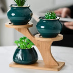 Plant Stand | Double-Level Bamboo & Portable