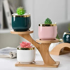 Plant Stand | Double-Level Bamboo & Portable