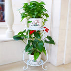 Plant Stand | Two-Tier Curved Iron Frame | 10 kg Load Capacity