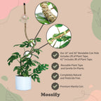 Plant Support Pole Set | Bendable Moss & Coir Poles | Flexible Design