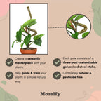 Plant Support Pole Set | Bendable Moss & Coir Poles | Flexible Design