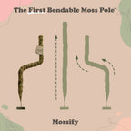 Plant Support Pole Set | Bendable Moss & Coir Poles | Flexible Design