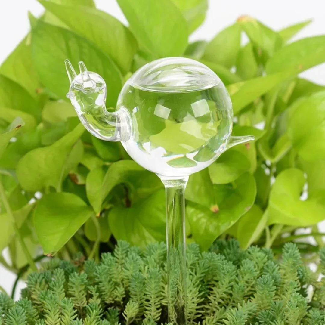 Plant Watering Device | Automatic Self-Watering & Transparent Glass | Approx. 15 cm