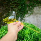 Plant Watering Device | Automatic Self-Watering & Transparent Glass | Approx. 15 cm