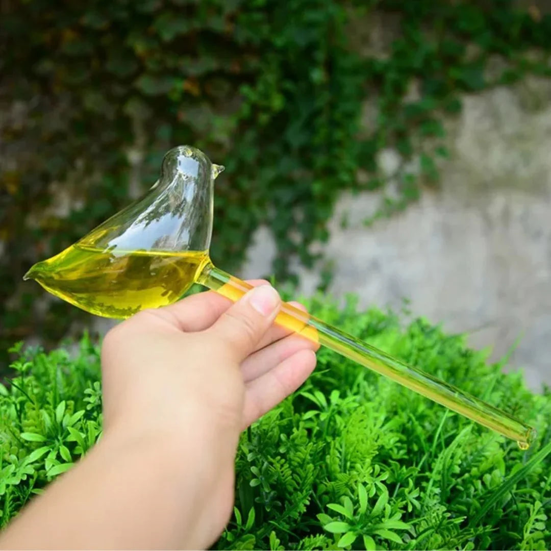 Plant Watering Device | Automatic Self-Watering & Transparent Glass | Approx. 15 cm