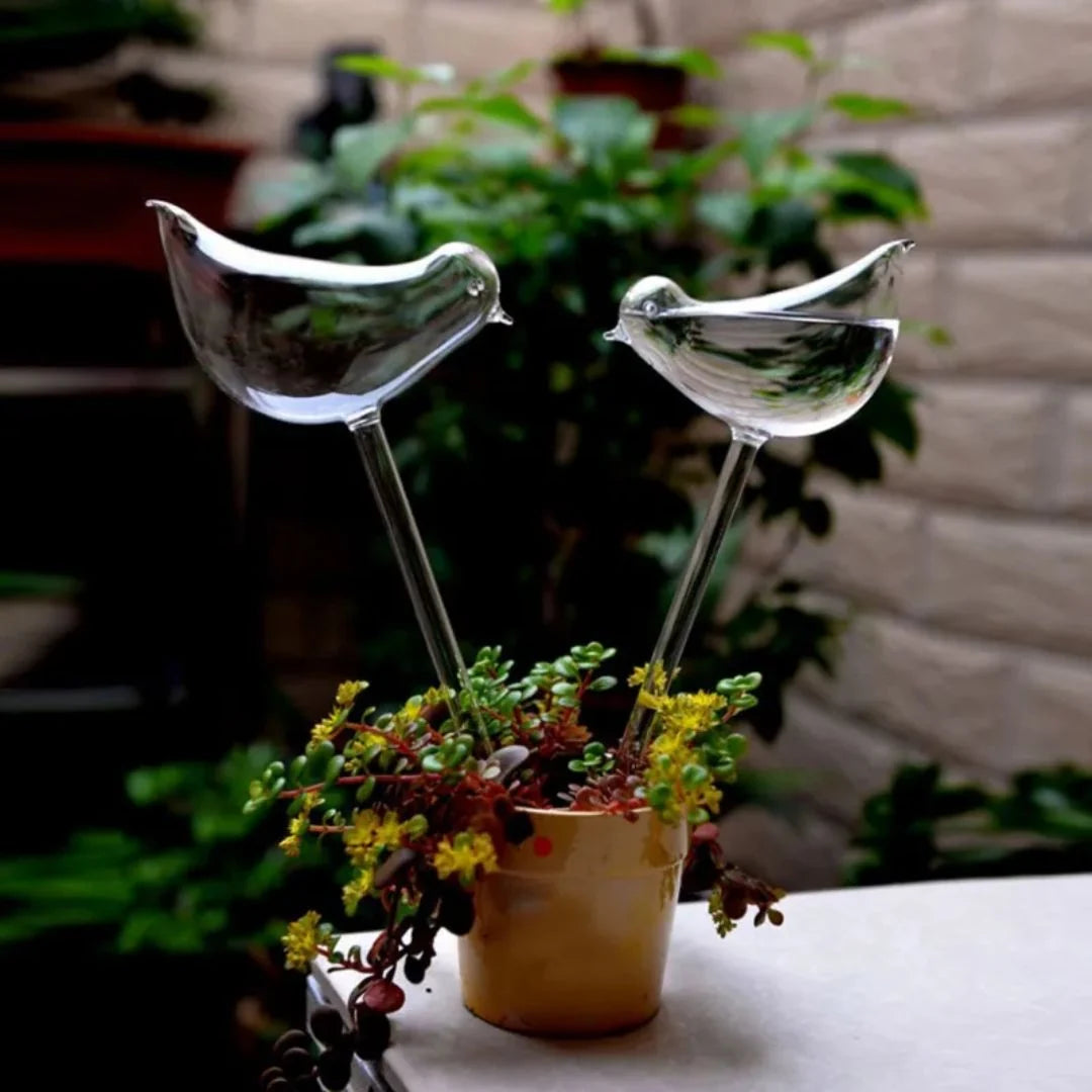 Plant Watering Device | Automatic Self-Watering & Transparent Glass | Approx. 15 cm