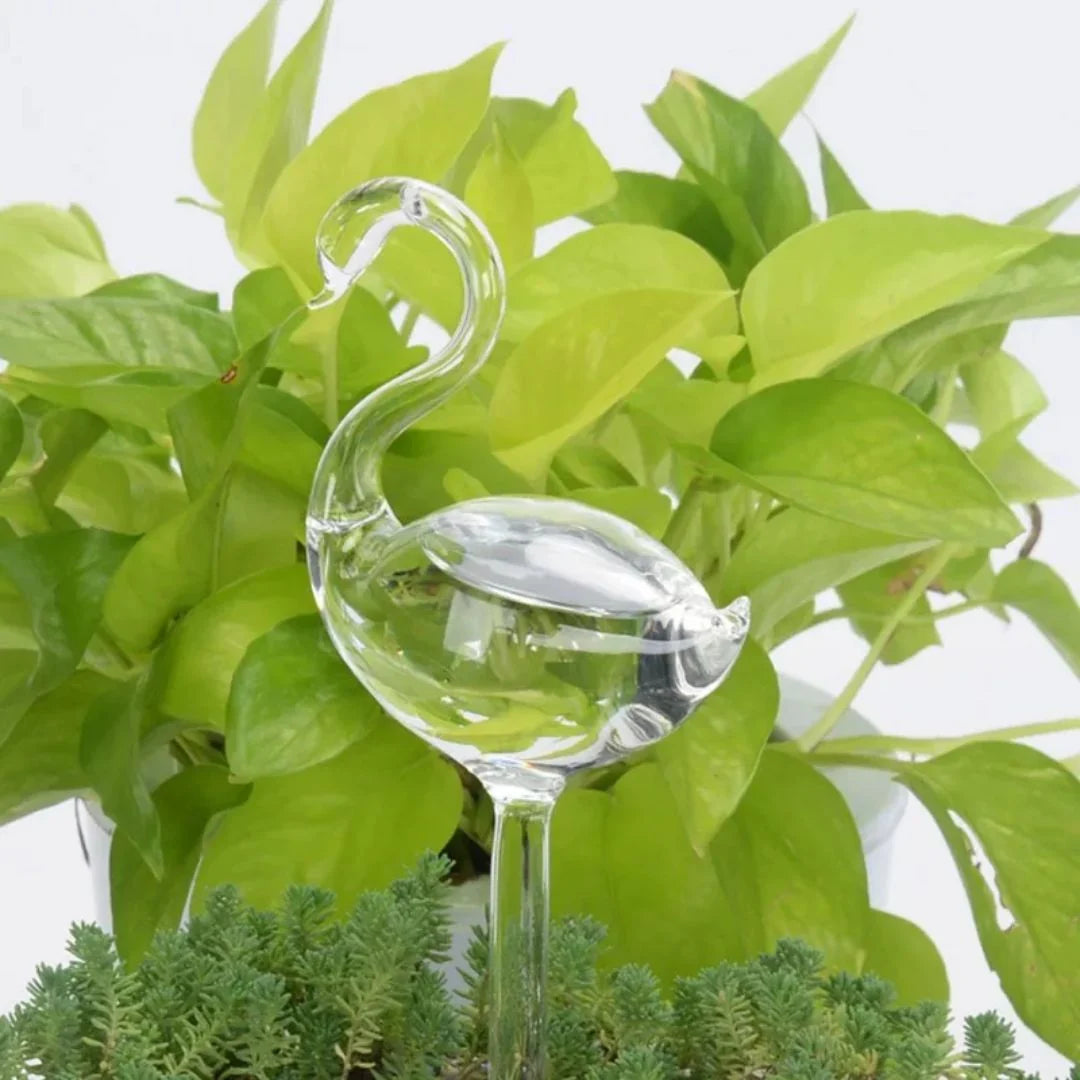 Plant Watering Device | Automatic Self-Watering & Transparent Glass | Approx. 15 cm
