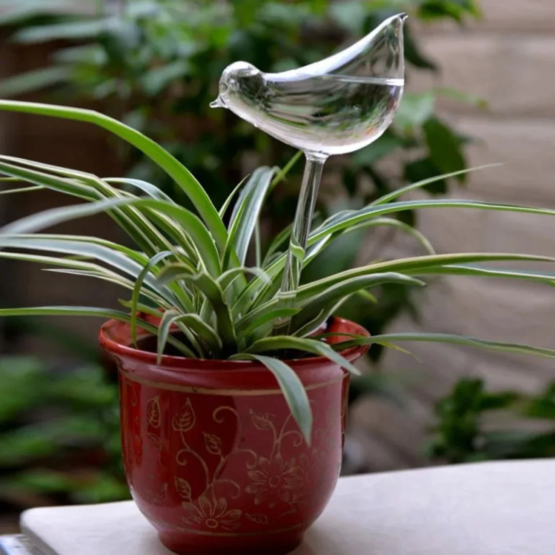 Plant Watering Device | Automatic Self-Watering & Transparent Glass | Approx. 15 cm