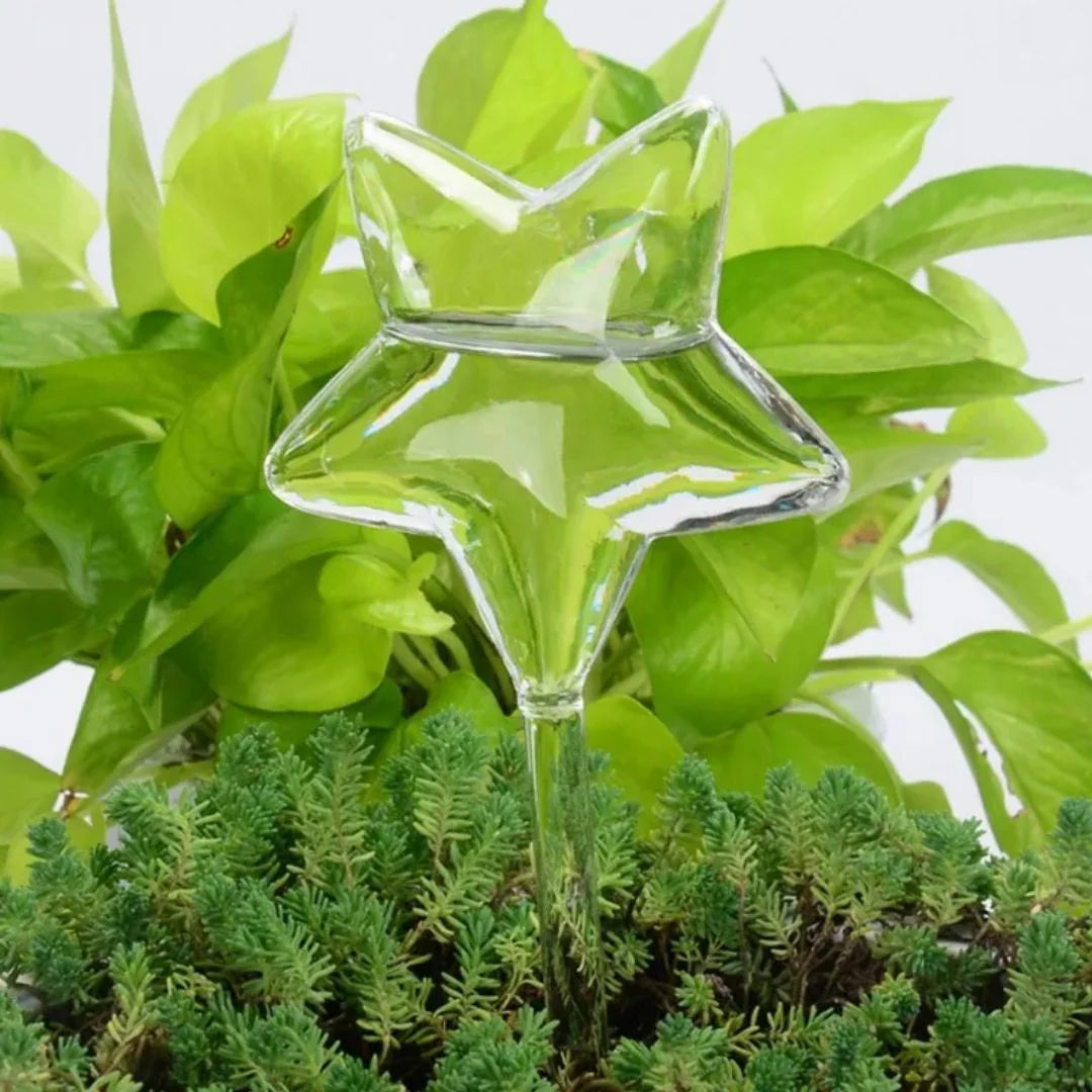 Plant Watering Device | Automatic Self-Watering & Transparent Glass | Approx. 15 cm