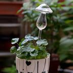 Plant Watering Device | Automatic Self-Watering & Transparent Glass | Approx. 15 cm