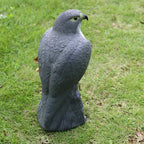 Bird Deterrent Decoy | Realistic Spread-Wing Falcon | 40 cm