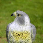 Bird Deterrent Decoy | Realistic Spread-Wing Falcon | 40 cm