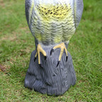 Bird Deterrent Decoy | Realistic Spread-Wing Falcon | 40 cm